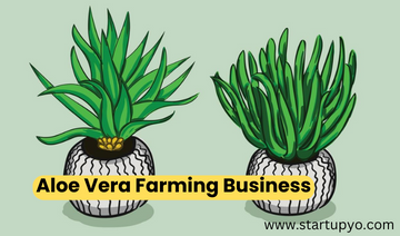 How To Start Aloe Vera Farming Business 2024 ? - StartupYo