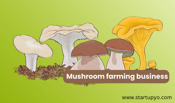 Mushroom farming business - StartupYo