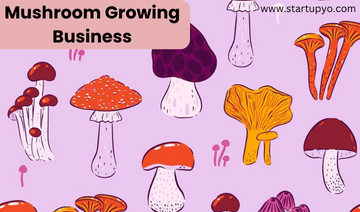 mushroom startup business plan