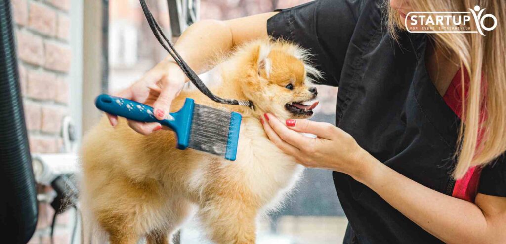 Pet grooming services Business | StartupYo