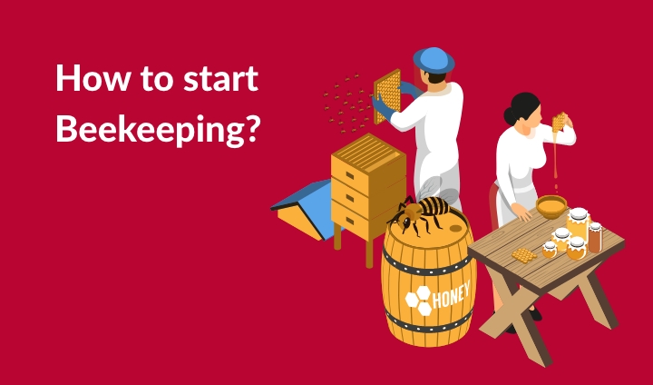 How to start a Beekeeping | StartupYo