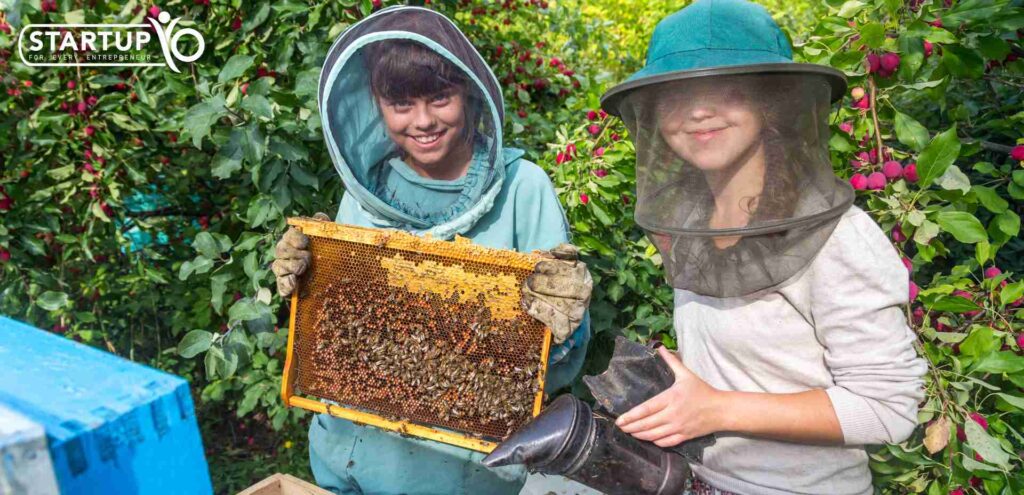 Beekeeping | StartupYo
