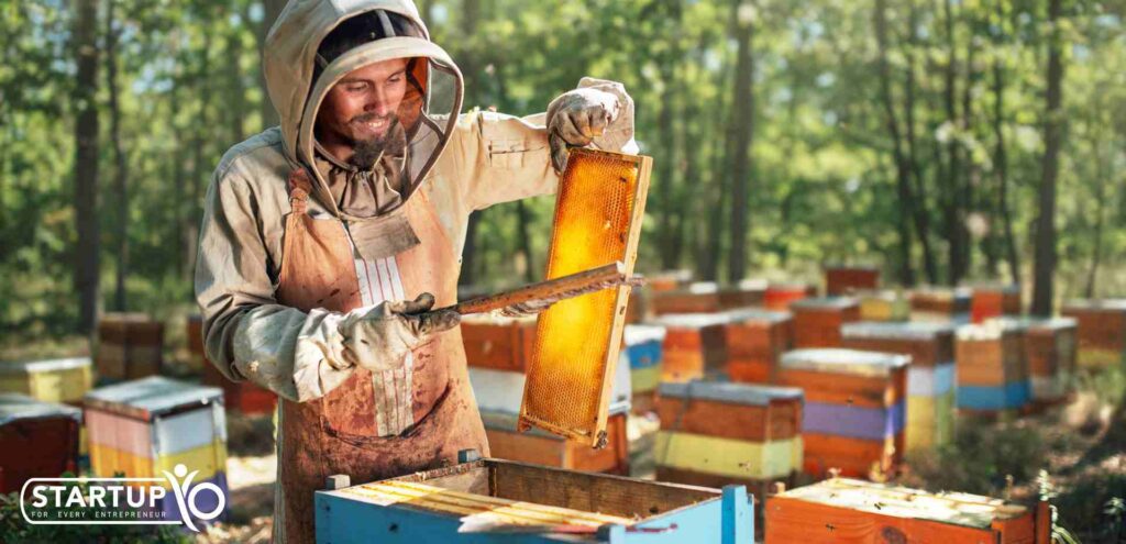 Setting Up Your Beehives | StartupYo