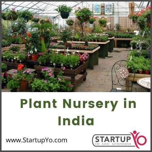 how-to-start-a-plant-nursery-in-india-2023-investments-profits-roi